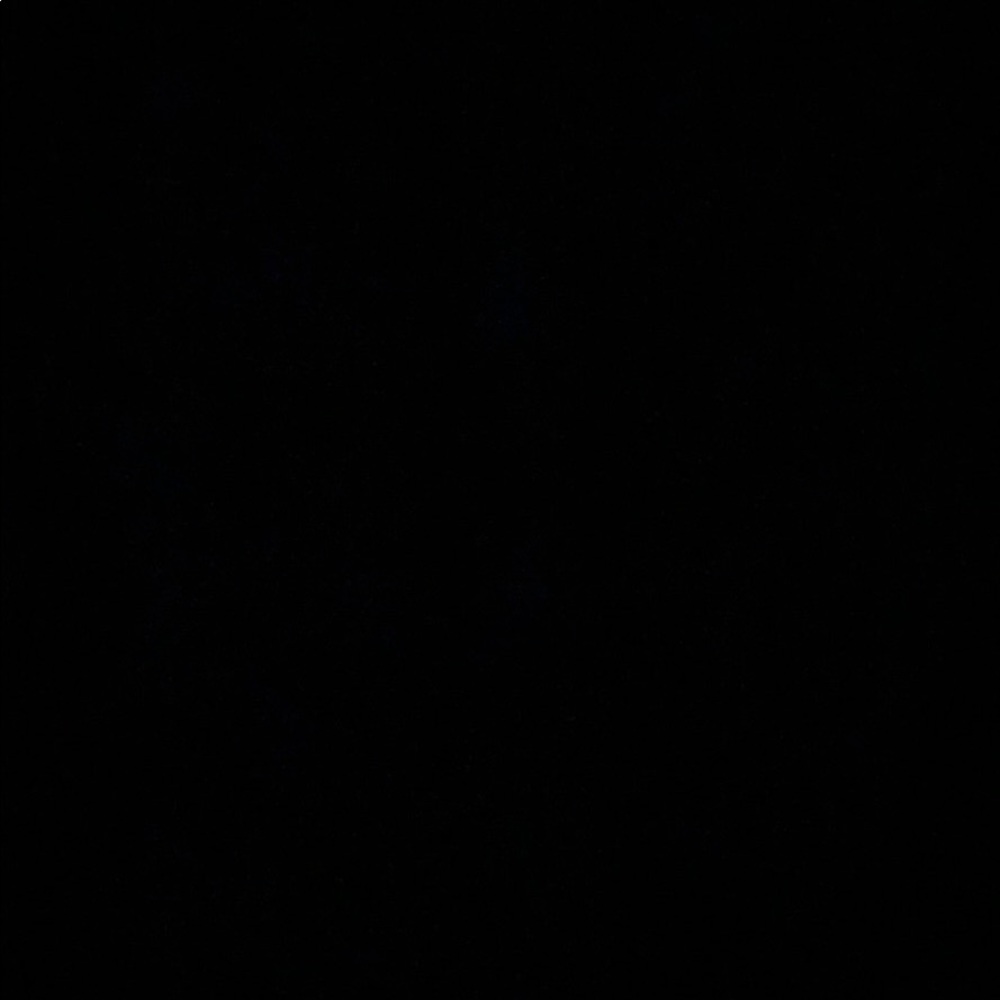 Meet your Posher, Mollye